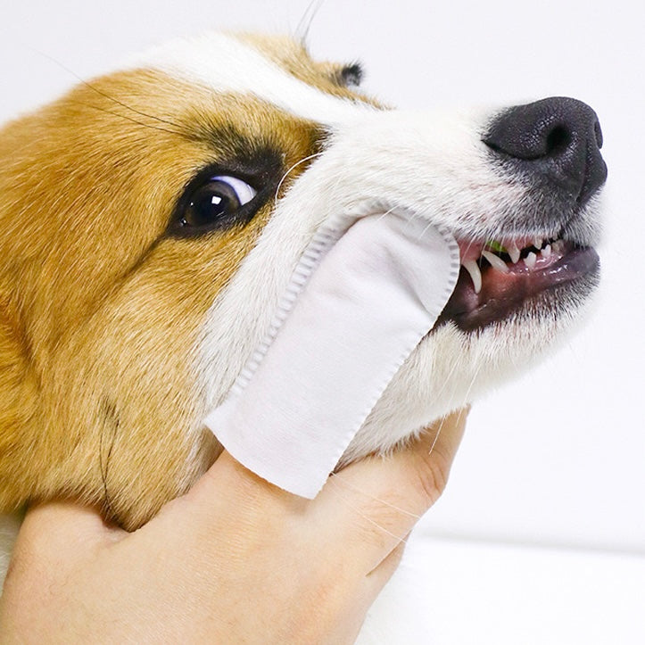 KOJIMA-Pet Dental Finger Wipes*36