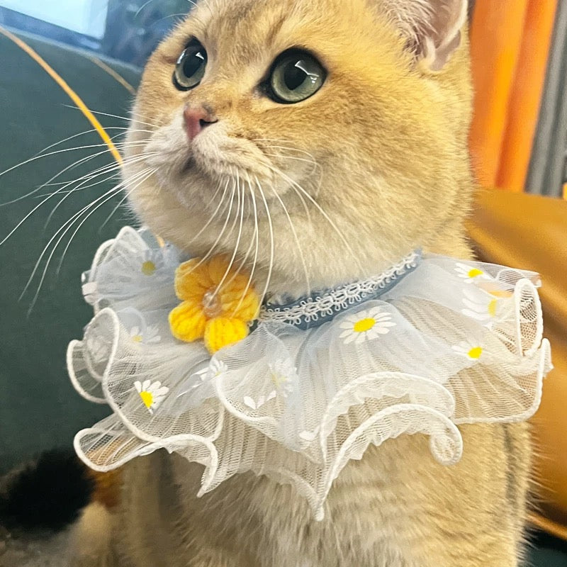 Cat&Dog Cute Lace Peal Bib-Yellow Flower Pearl