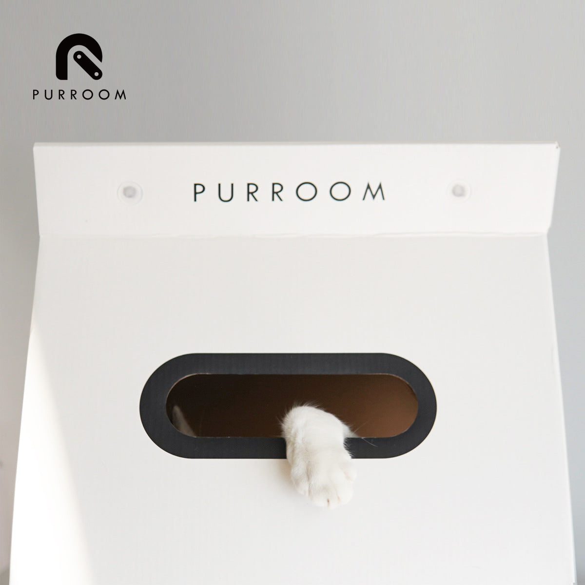 PURROM-Cat Little Chick Scratch Milk Box