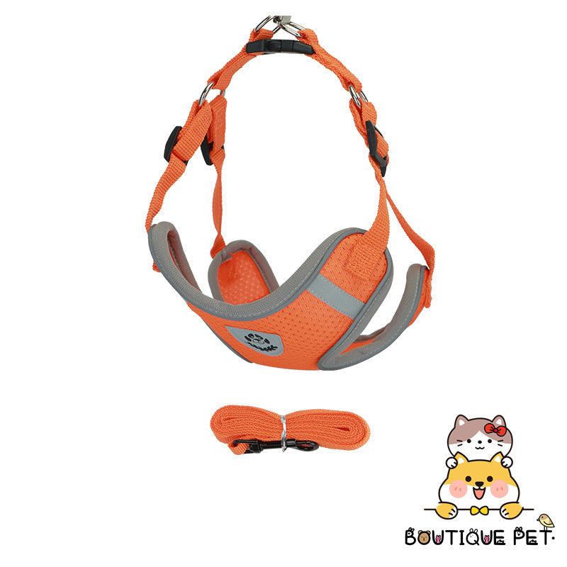 Dog Reflective Dog Harness and Leash Set